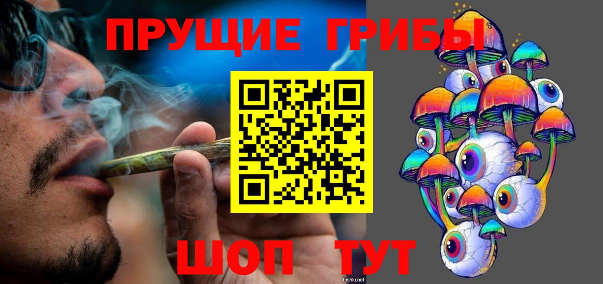 Псилоцибиновые грибы мухоморы  Псилоцибиновые грибы GOLDEN TEACHER  Озёрск  Вход с VPN 